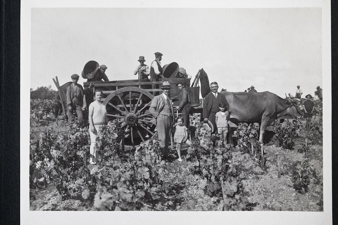 Harvest 1928 in the Pauillac vines - Marcel and Francis Borie