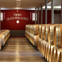 New barrels cellar - Château Grand-Puy-Lacoste