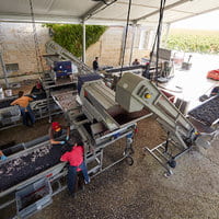 Harvest Pad - Sorting Area - Château Grand-Puy-Lacoste
