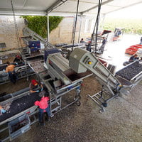 Harvest Pad - Sorting Area - Château Grand-Puy-Lacoste
